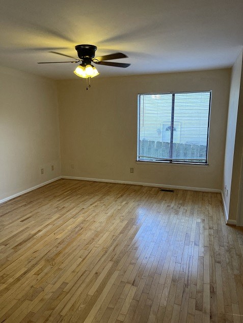 Gallery Photo 10